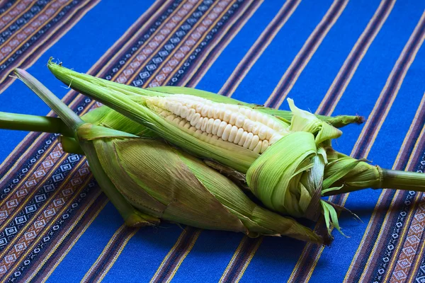 Peruánský nebo Cuzco kukuřice — Stock fotografie