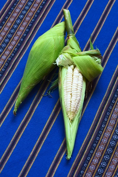 秘鲁或库斯科玉米 — 图库照片