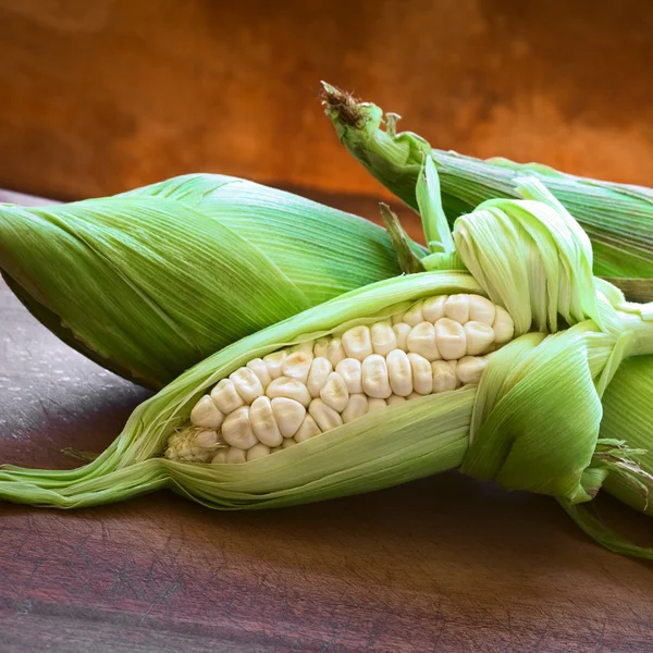 Перуанская кукуруза — стоковое фото
