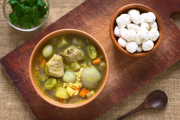 Суп Болівійський називається Chairo de-Tunta — стокове фото