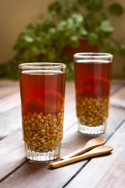 Chileno Mote con Huesillo Bebida — Foto de Stock