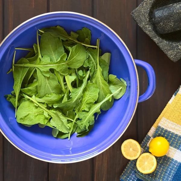 Rucola in zeef — Stockfoto