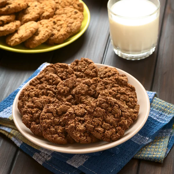 Biscoitos de aveia de chocolate — Fotografia de Stock