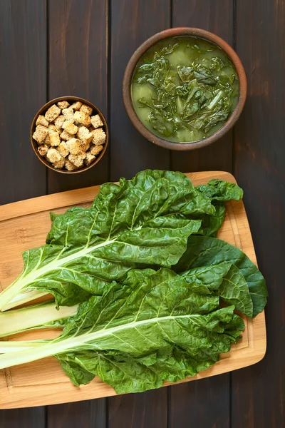 Rohe Mangoldblätter und Mangold-Suppe — Stockfoto