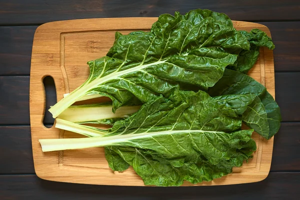 Raw Chard Leaves — Stock Photo, Image