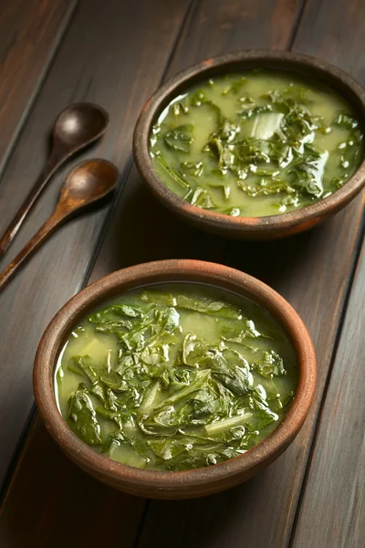 Chard soppa — Stockfoto