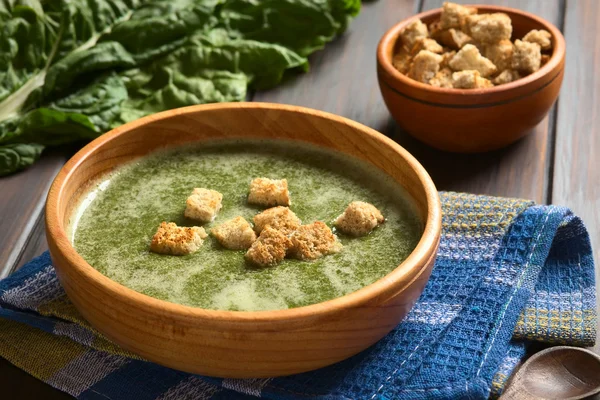 Cream of Chard Soup — Stock Image Cream of Chard Soup Royalty Free Stock Images