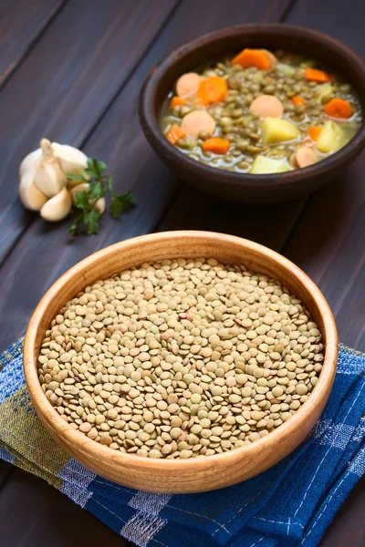 Raw Lentils — Stock Photo, Image