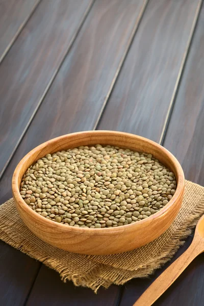 Raw Lentils — Stock Photo, Image