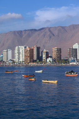 Iquique, Şili'deki Cavancha Beach