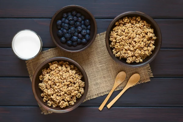 Breakfast Cereal with Blueberries and Milk — Stock Photo, Image