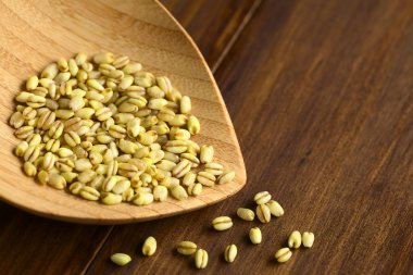 Ham buğday taneleri