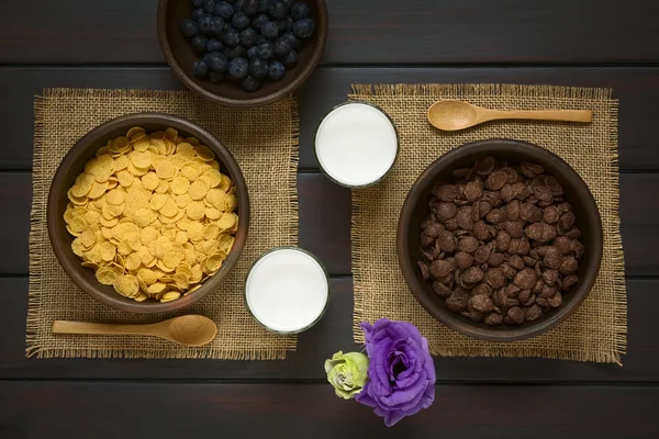 Cereali colazione — Foto Stock