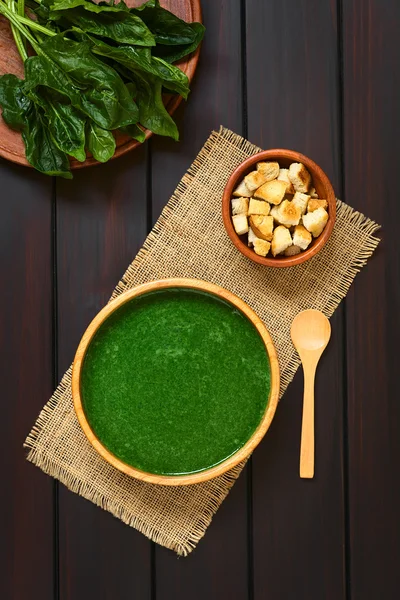 Crema de sopa de espinacas — Foto de Stock