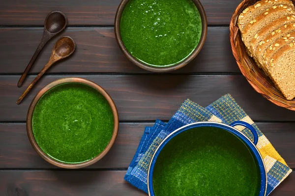 Creme de sopa de espinafre — Fotografia de Stock