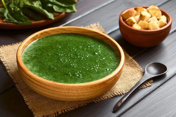 Creme de sopa de espinafre — Fotografia de Stock