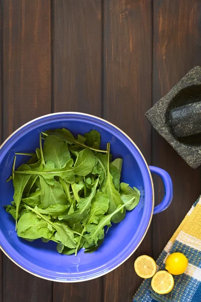 Fresh Rucola in Strainer — Stock Photo, Image