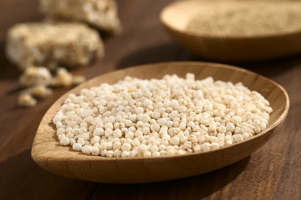 Quinoa blanc éclaté — Photo