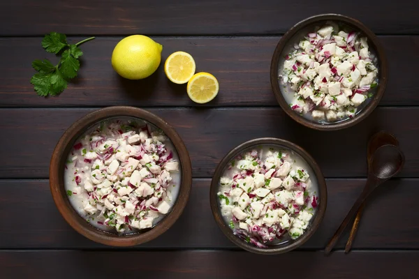 Ceviche cileno in ciotole rustiche — Foto Stock