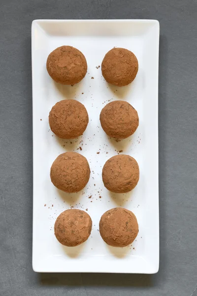 Rum ballen met cacao poeder — Stockfoto