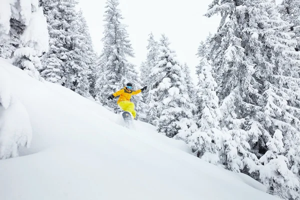 Freeride snowboarder op de skipiste — Stockfoto