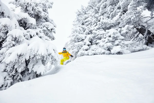 Man in backcountry snowboarding — Stock Photo, Image