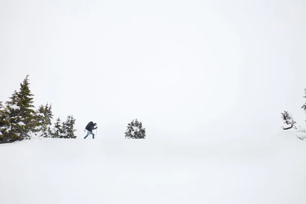 冬天在阿尔卑斯山徒步旅行 — 图库照片