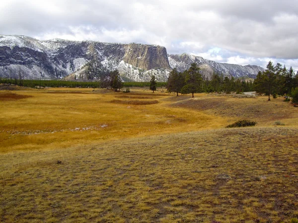 Paysage du début de l'hiver à Yellowstone — Photo