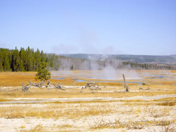 Yellowstone thermale bronnen — Stockfoto
