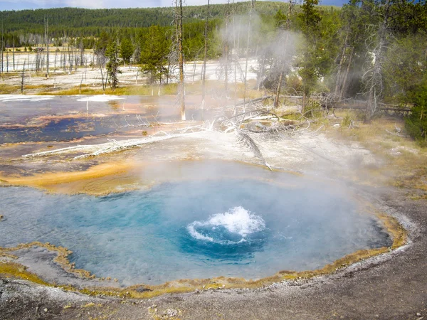 Boiling thermal springs at Yellowstone — Stock Photo, Image