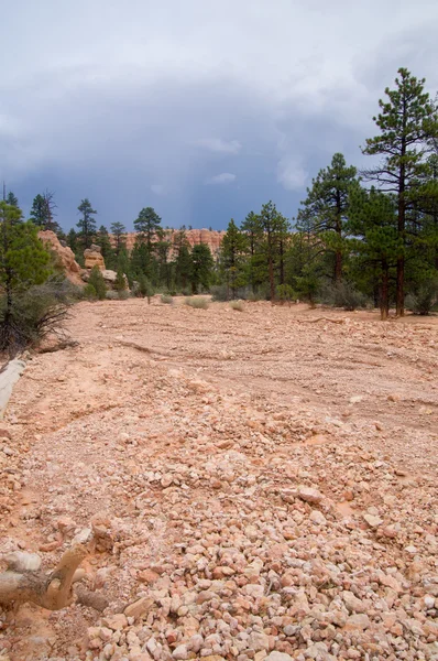 Cama de rio seca no desfiladeiro de Bryce Canyon em uma tempestade — Fotografia de Stock