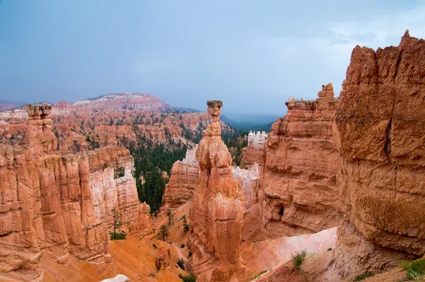 Hoodoos i bryce canyon i regnet — Stockfoto