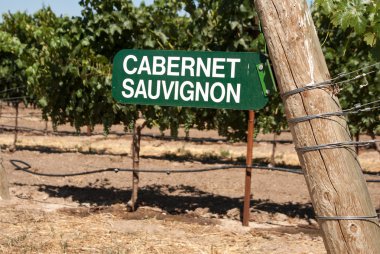 Vineyard sign for Cabernet Sauvignon grapes on the vine clipart