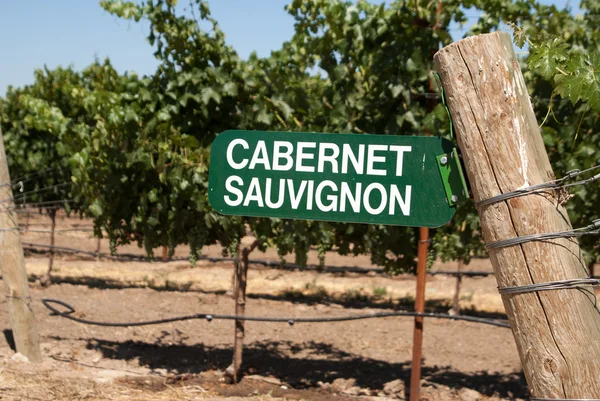 Označení pro hrozny Cabernet Sauvignon — Stock fotografie