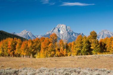 Sonbahar renkleri ile Grand tetons