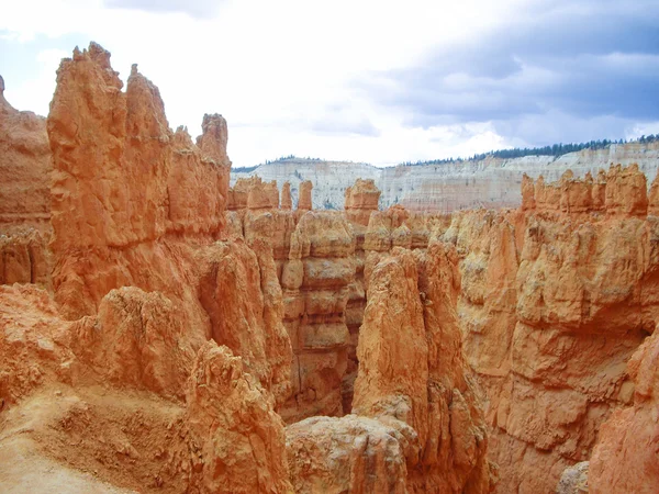 Oranžové pískovcové skály na Bryce Canyon — Stock fotografie