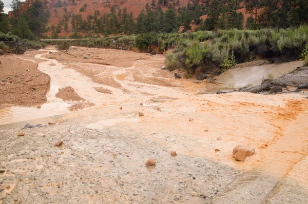 ユタ州の砂漠でのフラッシュの洪水から泥水 — ストック写真