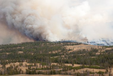 Yellowstone Burning clipart