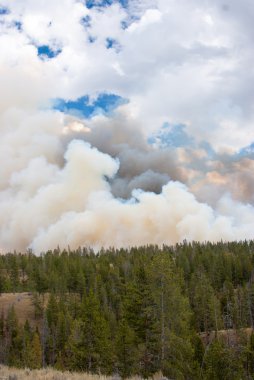Yangın bulutlar Yellowstone Parkı gökyüzüne doldurun