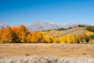 Aspens Grand Tetons kıpkırmızı