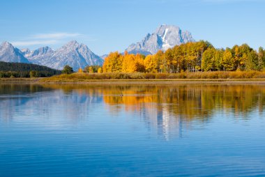 Kuş Gölü Grand Tetons Milli Parkı'nda