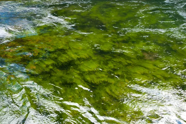 Vloeiende algen van yellwstone — Stockfoto