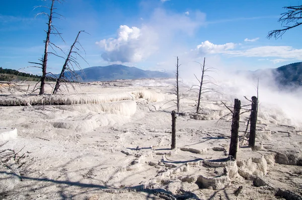 Mammoth hot springs terrasser — Stockfoto