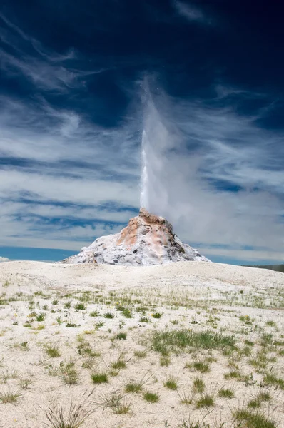 Gejzír bílé kopule propukne v letním dni v Yellowstone — Stock fotografie