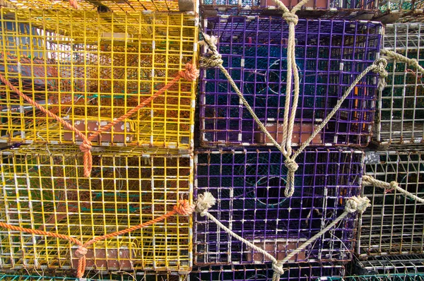 Purple and yellow Lobster Pots — Stock Photo, Image