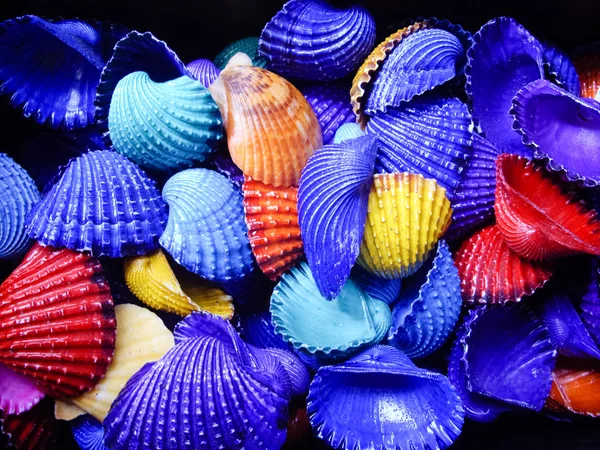 Conchas de color negrita — Foto de Stock