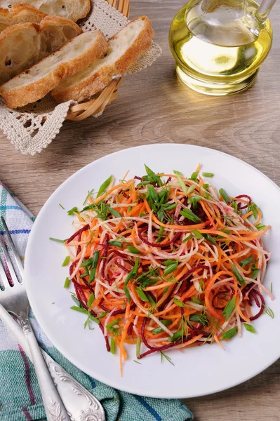 Rendelenmiş sebze salatası — Stok fotoğraf