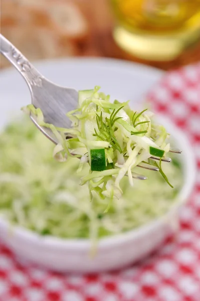 Salade met komkommer, Koolsla — Stockfoto