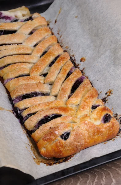 Pie  with blueberry — Stock Photo, Image