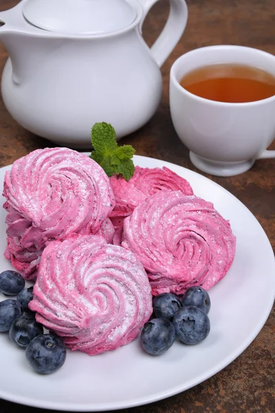 A Zephyr blueberry — Stock Photo, Image